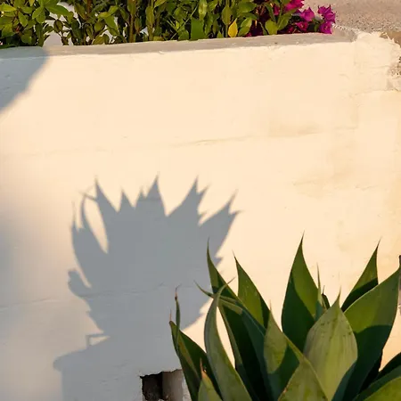 Masseria Guadalupe