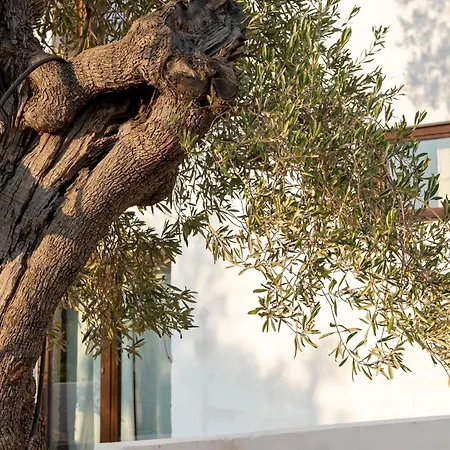 Masseria Guadalupe Bed & Breakfast